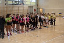 Mistrzostwa powiatu w piłce siatkowej dziewcząt 2019 1